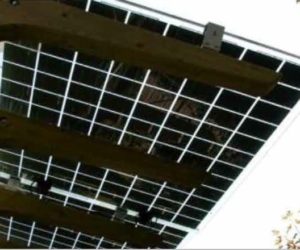 pannelli fotovoltaici